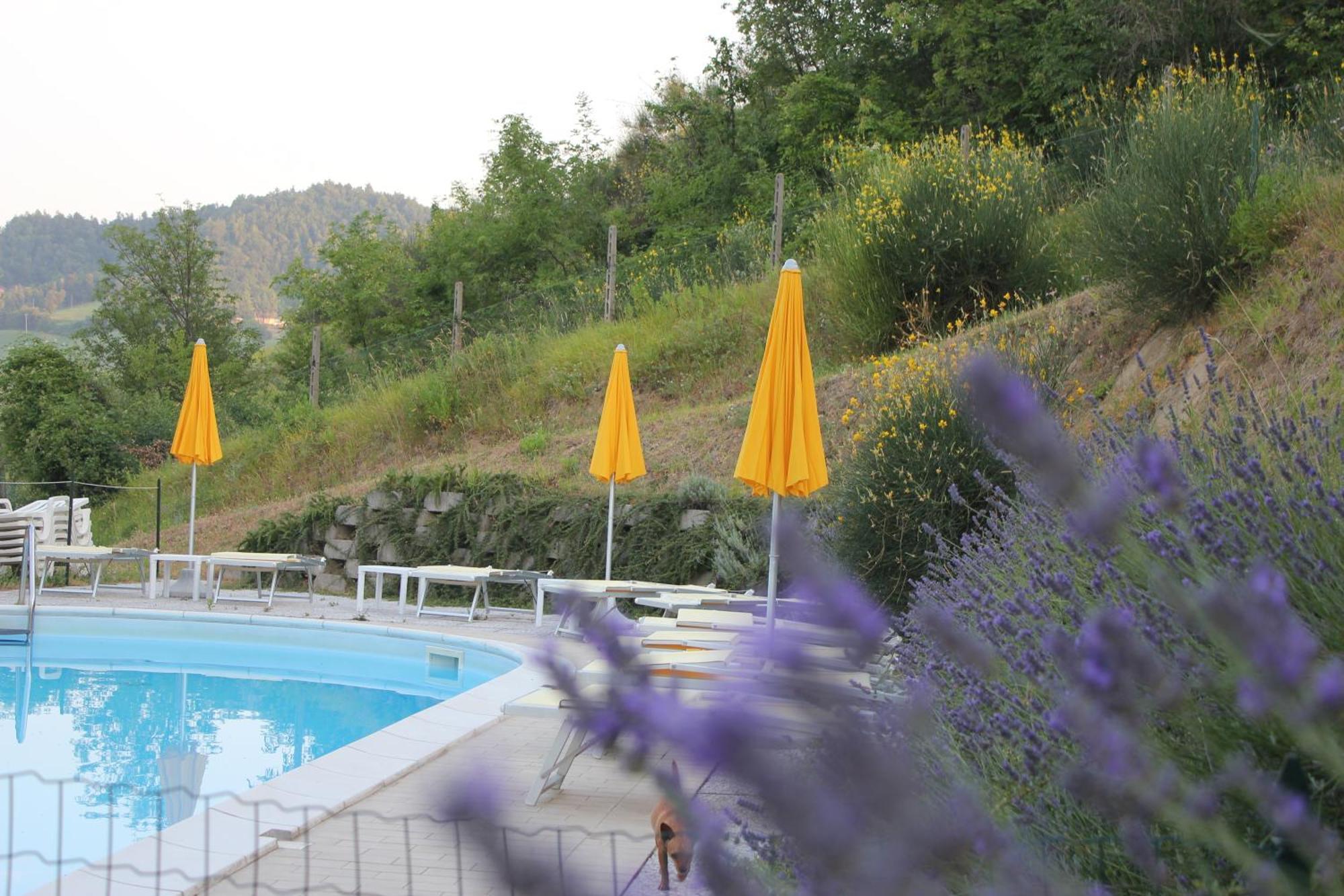 Agriturismo La Valle Del Vento ウルビーノ エクステリア 写真