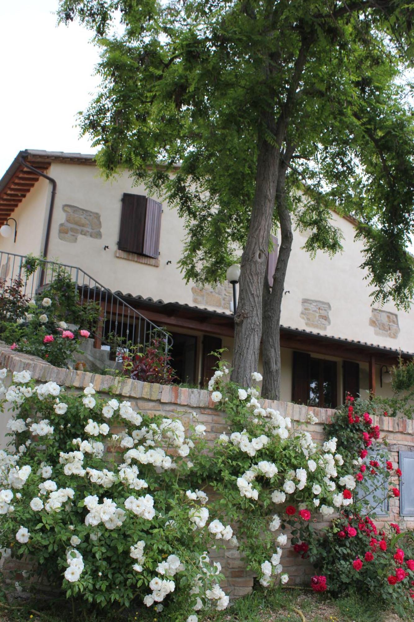 Agriturismo La Valle Del Vento ウルビーノ エクステリア 写真